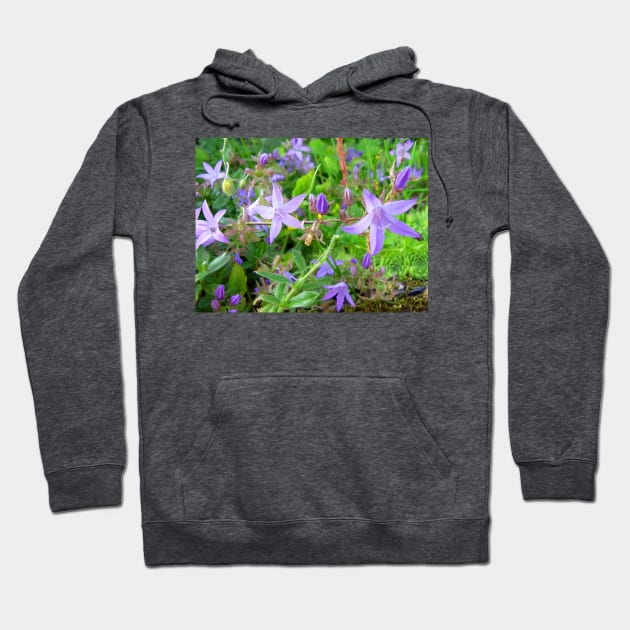 Lavender stars Hoodie by tomg